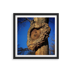 "Broken/hearted" by Maria Popova Framed Art Print
