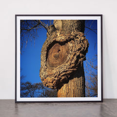 "Broken/hearted" by Maria Popova Framed Art Print