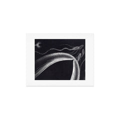 "Dolphins" by M.C. Escher Art Print