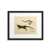 "Snake and Muricated Lizard" by Sarah Stone, 1790 Framed Art Print