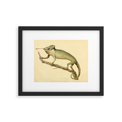 "The Chameleon" from the Leverian Collection, 1790s Framed Art Print
