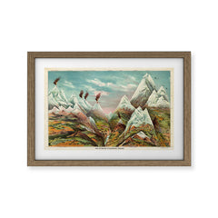 "View of Nature in Ascending Regions" by Levi Walter Yaggy, 1893 Framed Art Print