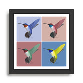 05 Blue, Red, Green, Yellow Hummingbird Framed Art Print