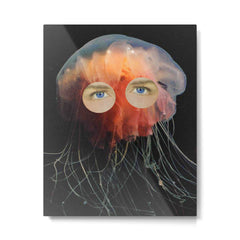 A (very) Jelly Fish Metal Print