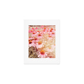37 Flowers Art Print