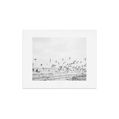 "Seagulls" | Coastal black and white photo | Film photography | Beach Art Print