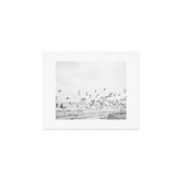 "Seagulls" | Coastal black and white photo | Film photography | Beach Art Print