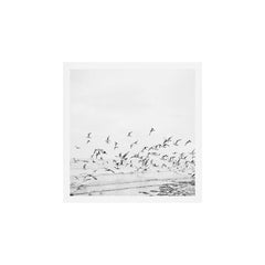"Seagulls" | Coastal black and white photo | Film photography | Beach - square Art Print