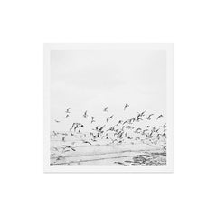 "Seagulls" | Coastal black and white photo | Film photography | Beach - square Art Print