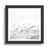 "Seagulls" | Coastal black and white photo | Film photography | Beach - square Framed Art Print