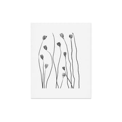 A group of poppy heads Art Print