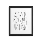 A group of poppy heads Framed Art Print