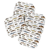 A Few Freshwater Fish Coaster