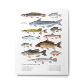 A Few Freshwater Fish Metal Print