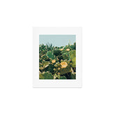 A Field of Prickly Pear Cactus Art Print