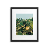A Field of Prickly Pear Cactus Framed Art Print