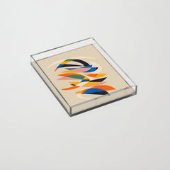 //05 Acrylic Tray