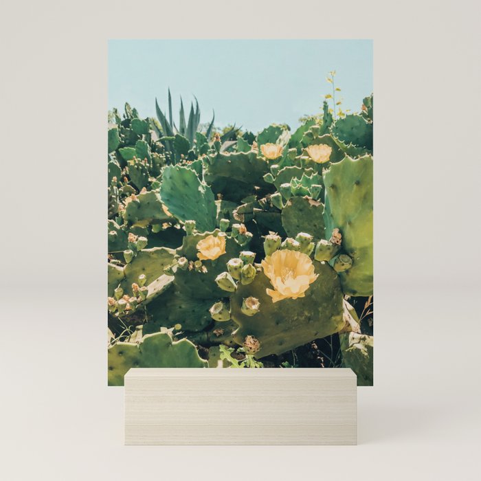 A Field of Prickly Pear Cactus Mini Art Print