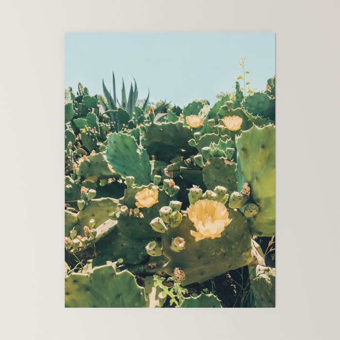 A Field of Prickly Pear Cactus Mini Art Print