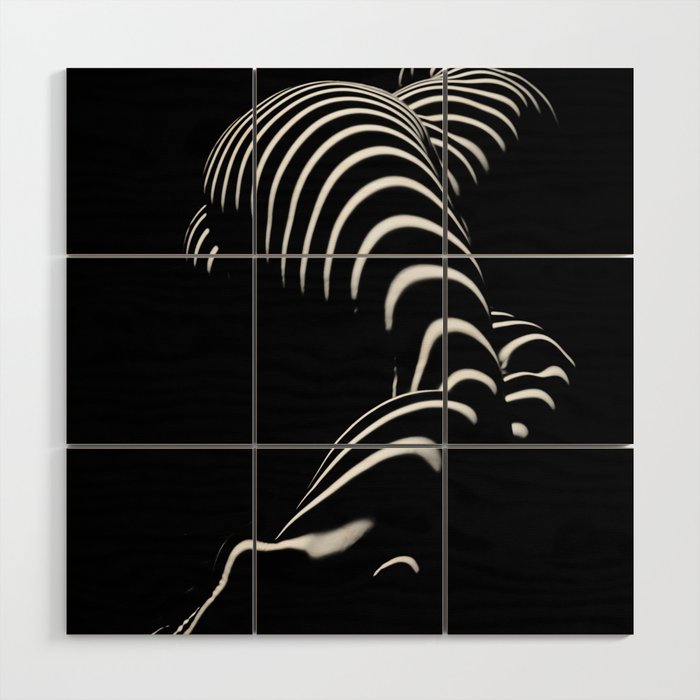0774-AR BBW Sensual Legs Hips and Ass of a Large Woman Big Beautiful Art Nude Black and White Wood Wall Art