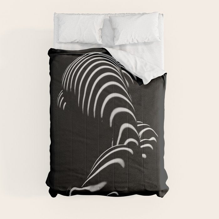 0774-AR BBW Sensual Legs Hips and Ass of a Large Woman Big Beautiful Art Nude Black and White Comforter