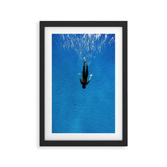 140912-4099 Framed Art Print