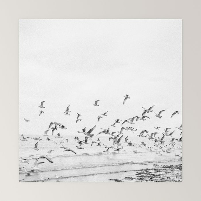 "Seagulls" | Coastal black and white photo | Film photography | Beach - square Mini Art Print