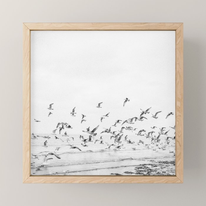 "Seagulls" | Coastal black and white photo | Film photography | Beach - square Mini Art Print