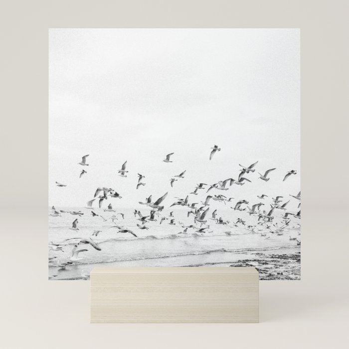 "Seagulls" | Coastal black and white photo | Film photography | Beach - square Mini Art Print