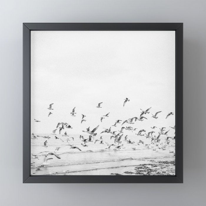 "Seagulls" | Coastal black and white photo | Film photography | Beach - square Mini Art Print