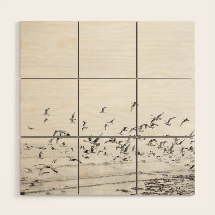 "Seagulls" | Coastal black and white photo | Film photography | Beach - square Wood Wall Art