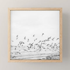 "Seagulls" | Coastal black and white photo | Film photography | Beach - square Mini Art Print