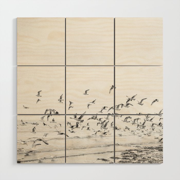 "Seagulls" | Coastal black and white photo | Film photography | Beach - square Wood Wall Art