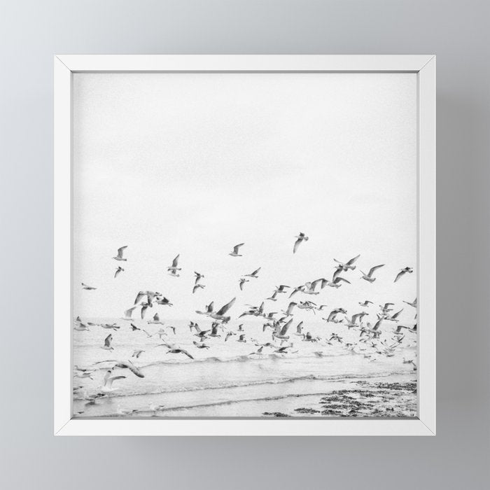 "Seagulls" | Coastal black and white photo | Film photography | Beach - square Mini Art Print