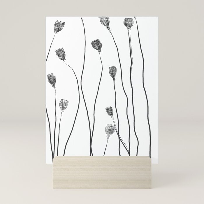 A group of poppy heads Mini Art Print