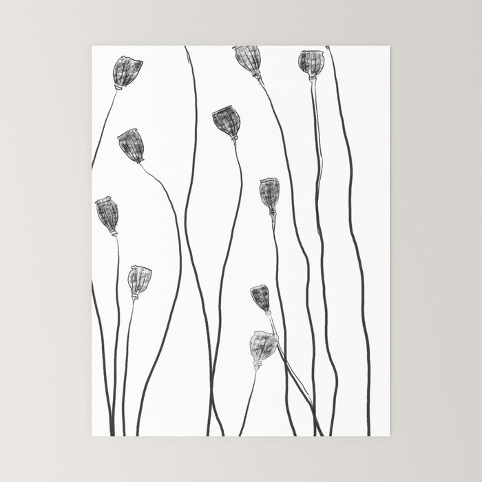 A group of poppy heads Mini Art Print