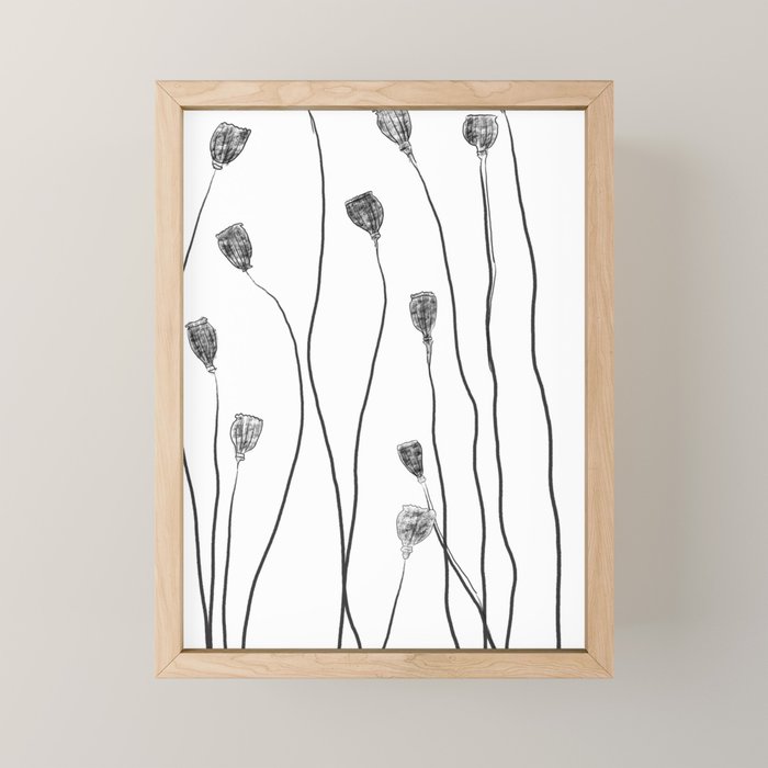 A group of poppy heads Mini Art Print
