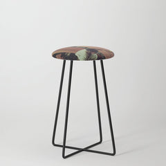 2 (Two) Stool