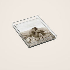 Caino' Male Nude black and white photograph / black and white photography by Wilhem von Gloeden Acrylic Tray