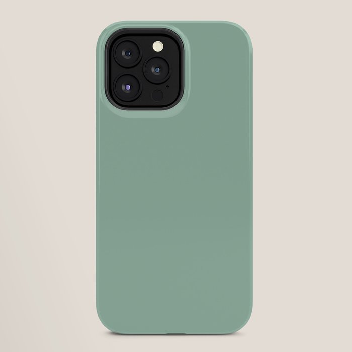 1950s Mint Green Solid iPhone Case
