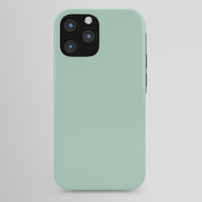 1950s Mint Green Solid iPhone Case