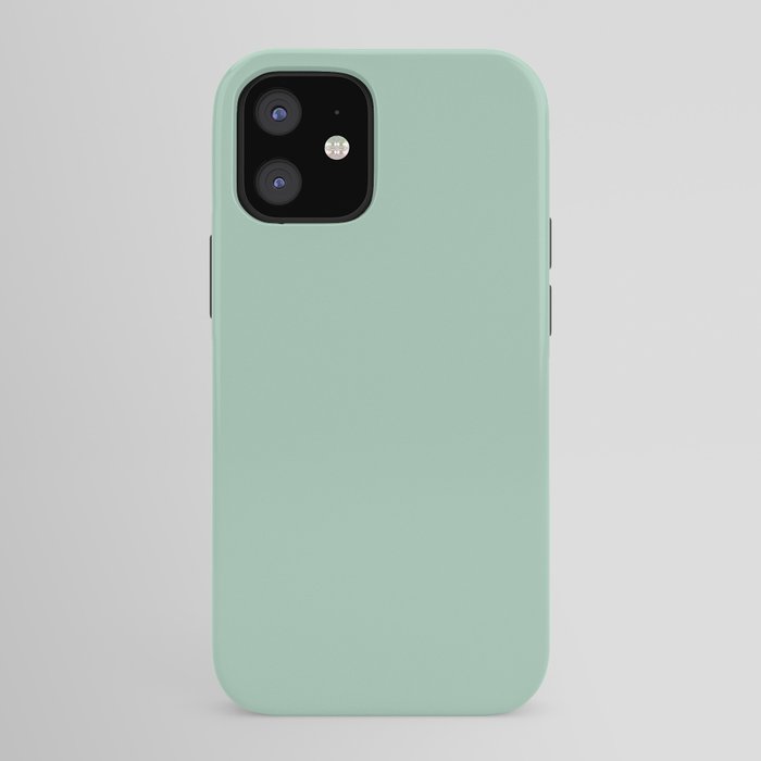 1950s Mint Green Solid iPhone Case