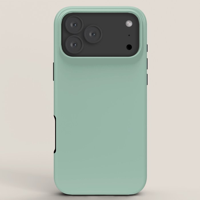 1950s Mint Green Solid iPhone Case