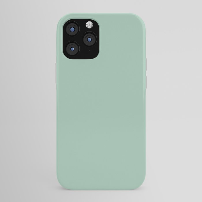 1950s Mint Green Solid iPhone Case