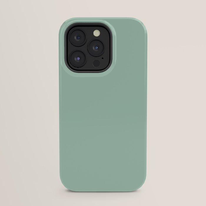 1950s Mint Green Solid iPhone Case