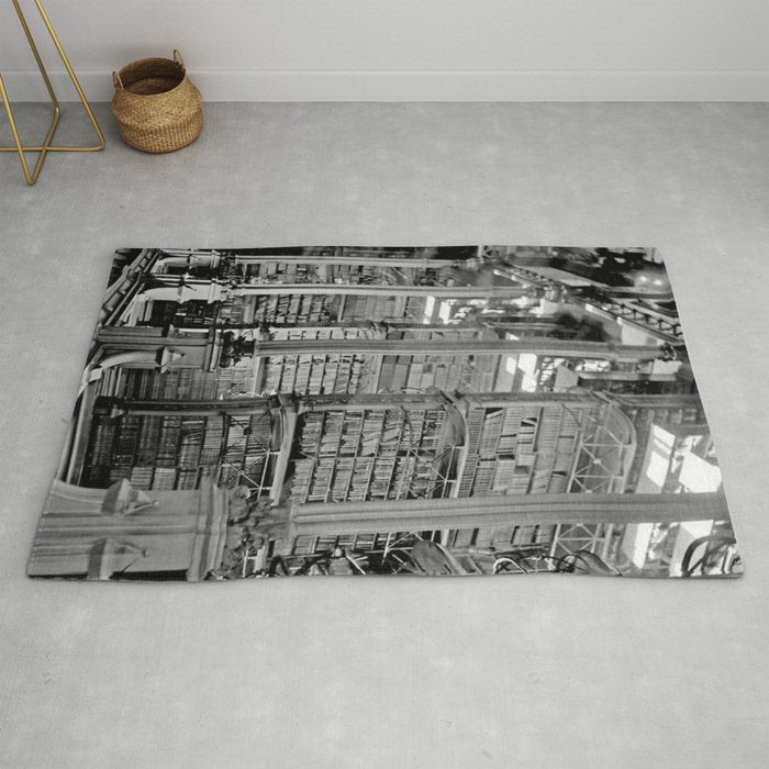 A Book Lover's Dream - Cincinnati Public Library black and white photographs / black and white photo Rug