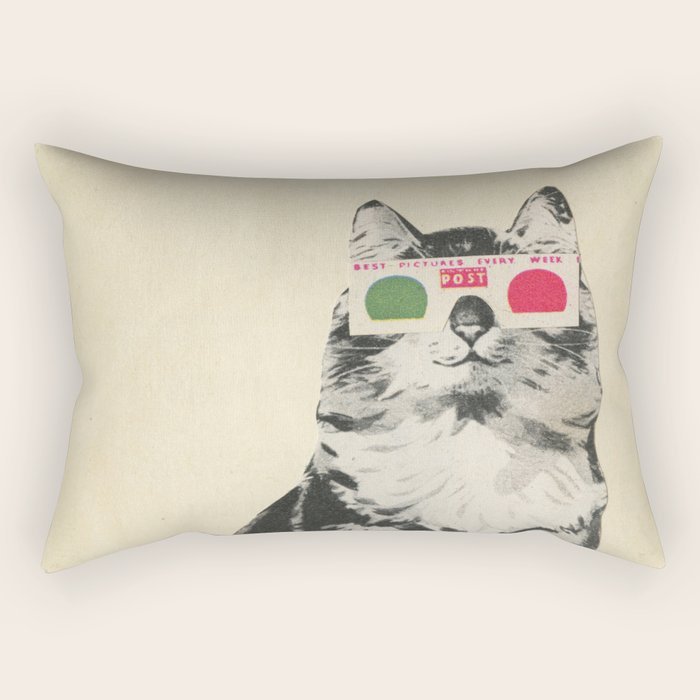 3D Glasses Rectangular Pillow