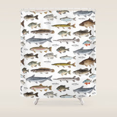 A Few Freshwater Fish Shower Curtain
