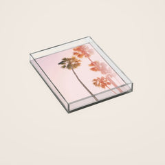 #44 Acrylic Tray