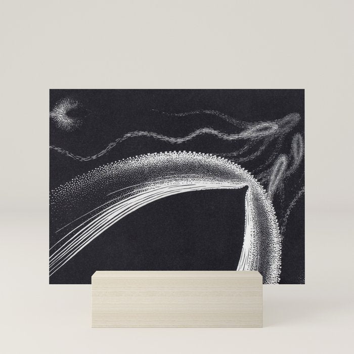 "Dolphins" by M.C. Escher Mini Art Print